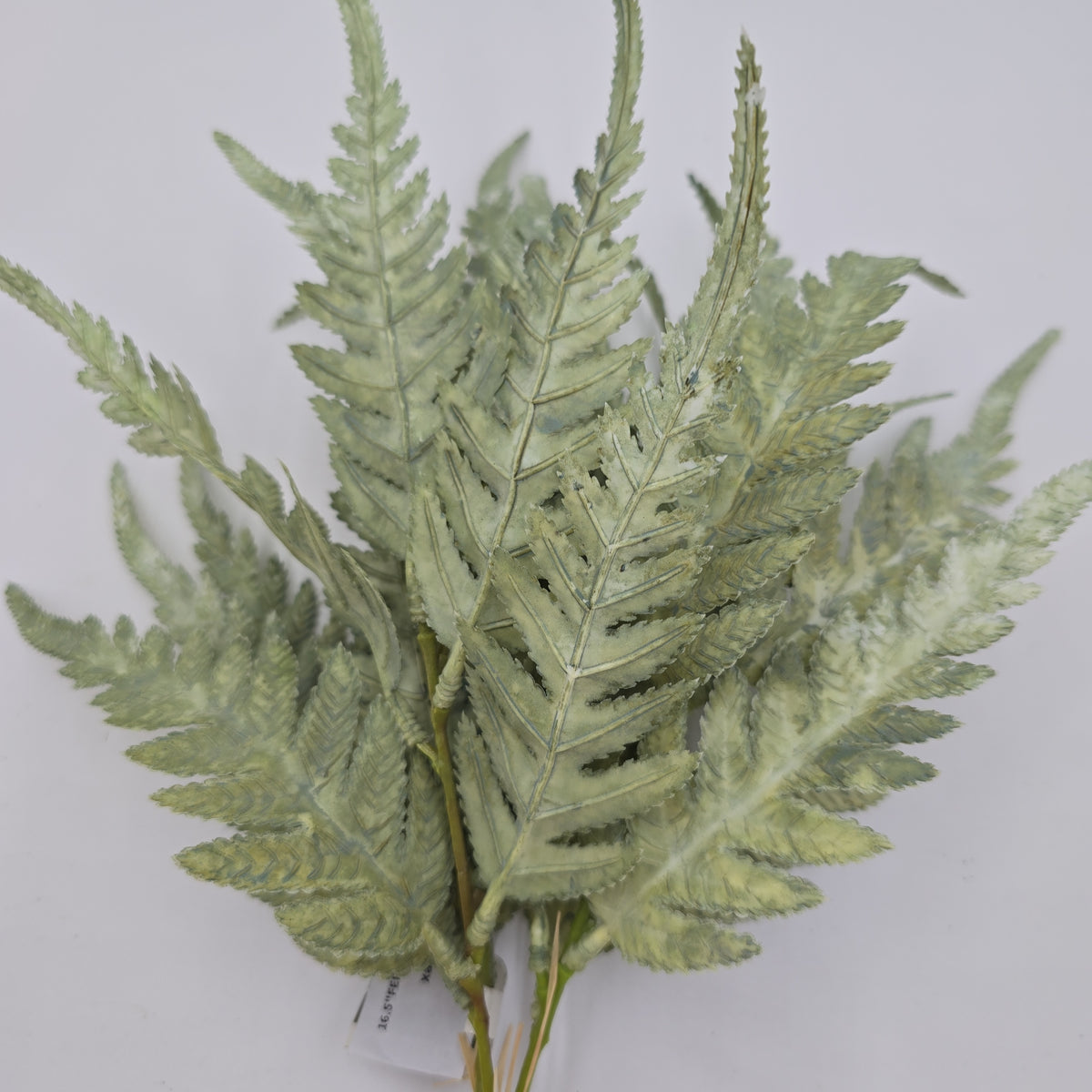 16.5&quot;FERN BUNDLE-#xab543-gr