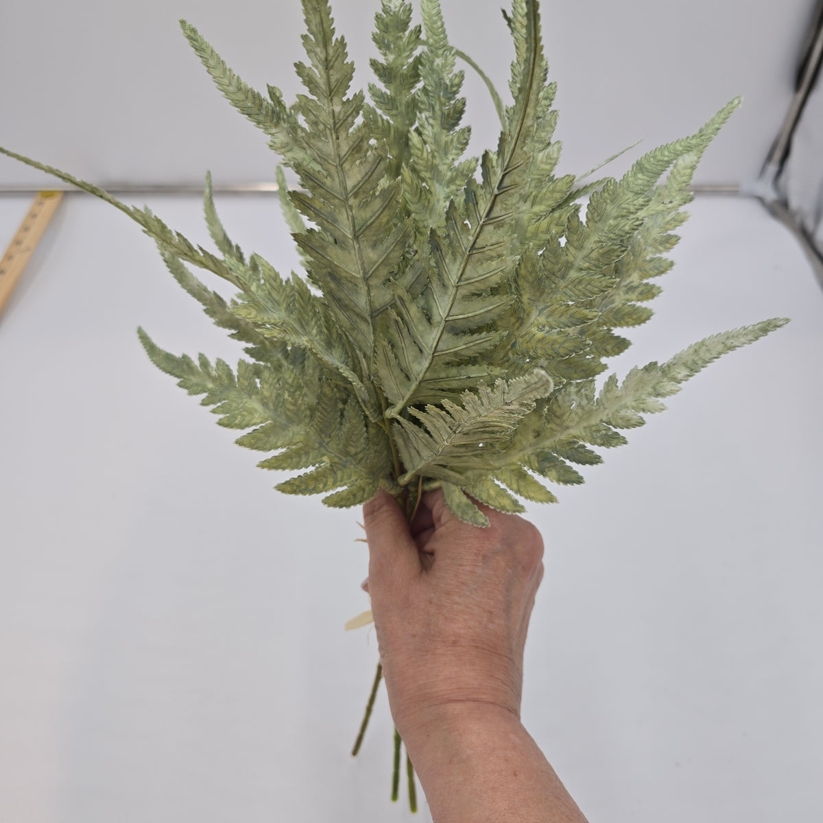 16.5&quot;FERN BUNDLE-#xab543-gr
