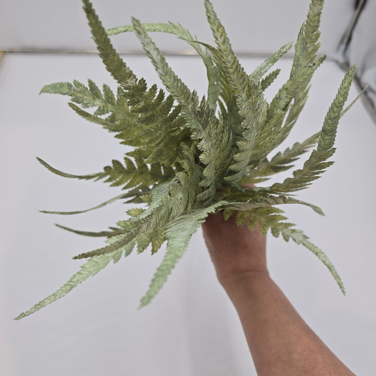 16.5&quot;FERN BUNDLE-#xab543-gr