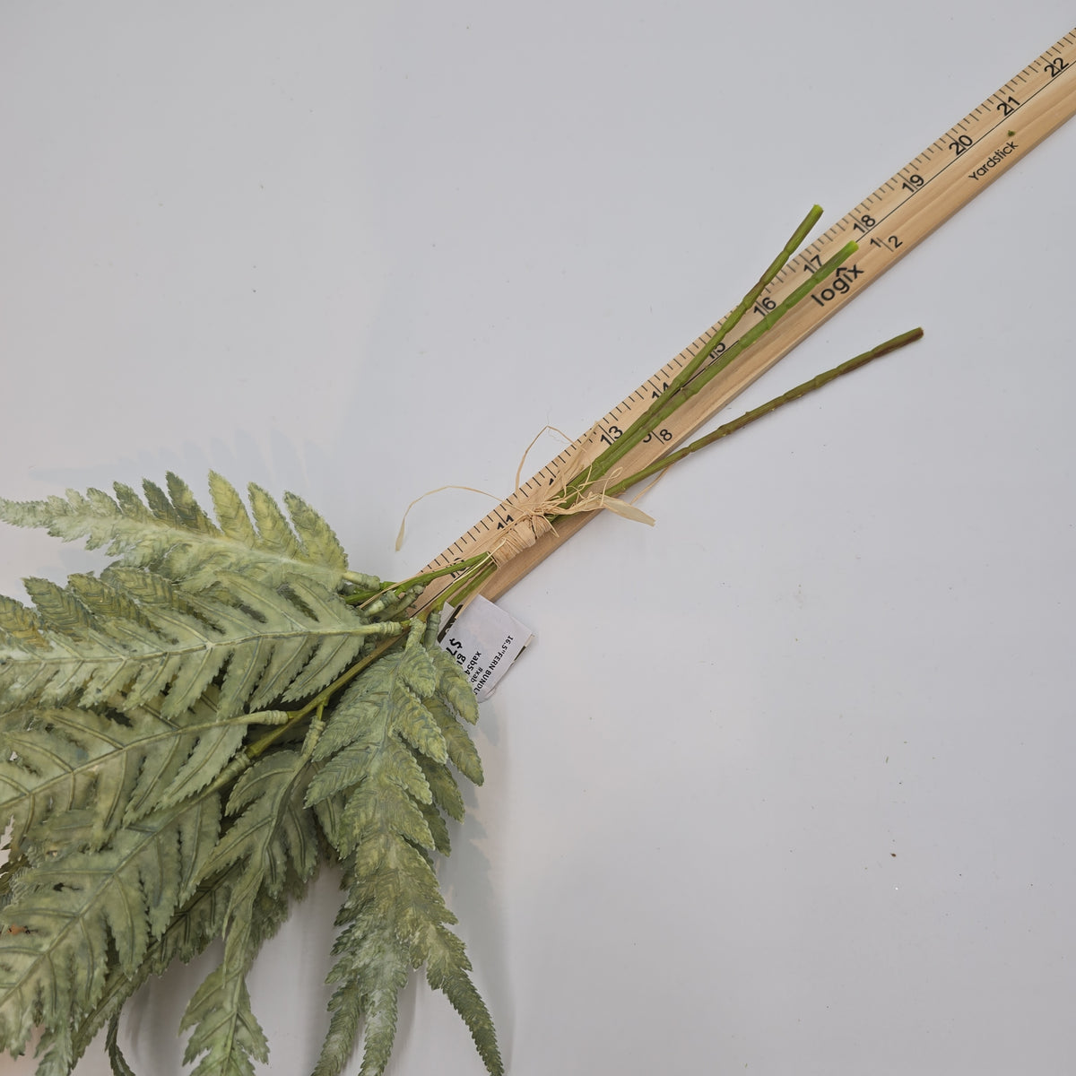16.5&quot;FERN BUNDLE-#xab543-gr