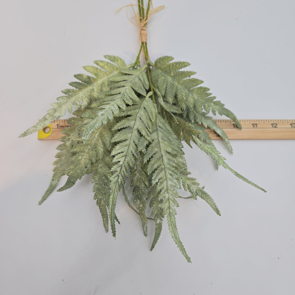 16.5&quot;FERN BUNDLE-#xab543-gr