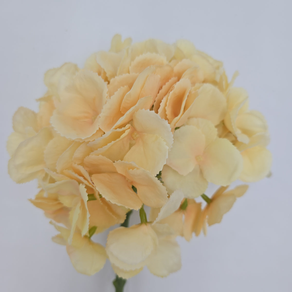 19&quot; Hydrangea Spray--#fsh426