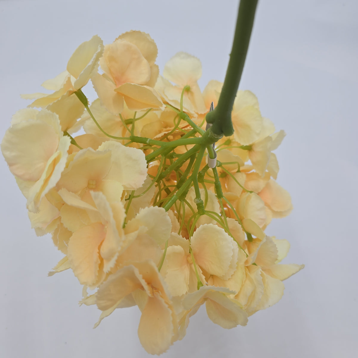 19&quot; Hydrangea Spray--#fsh426