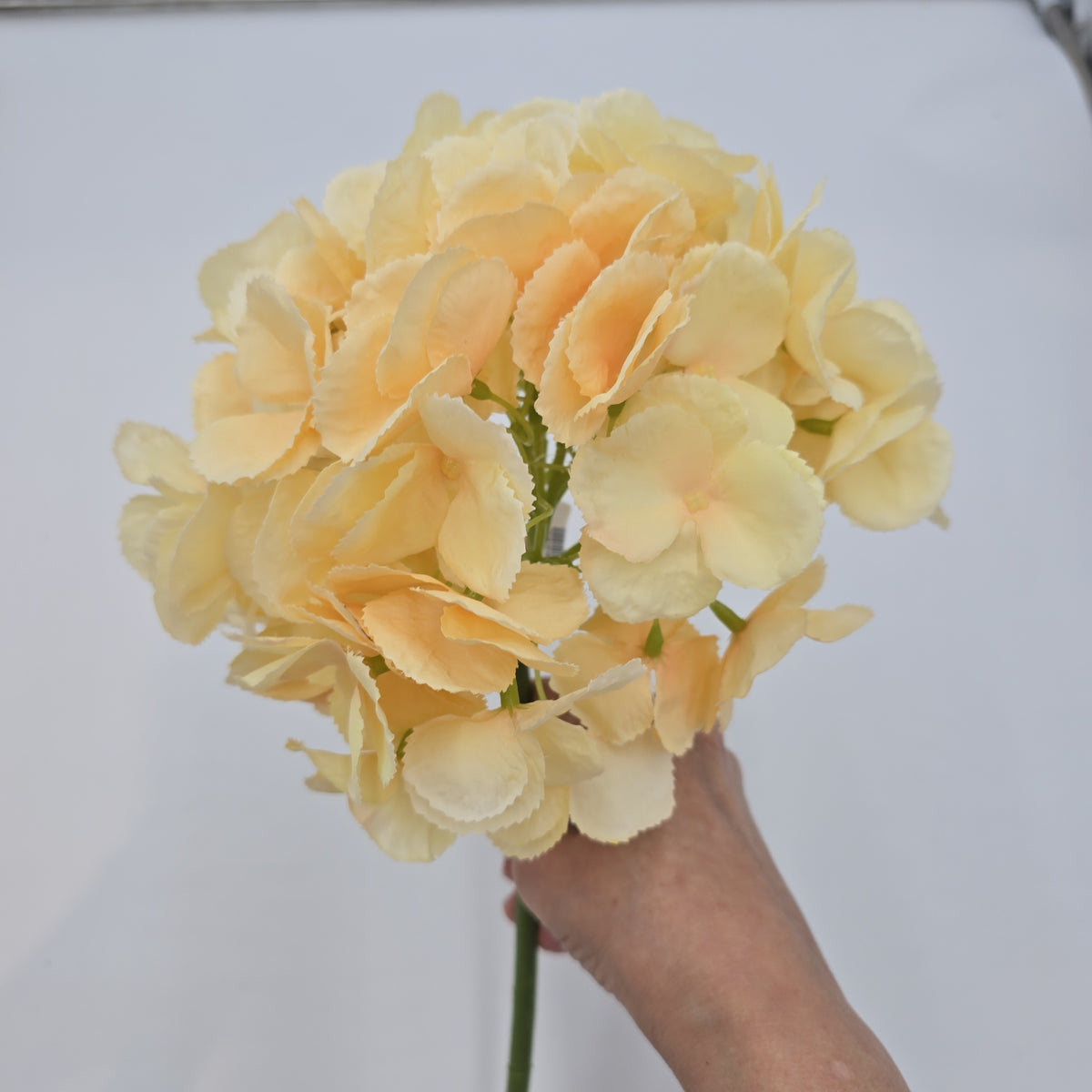 19&quot; Hydrangea Spray--#fsh426