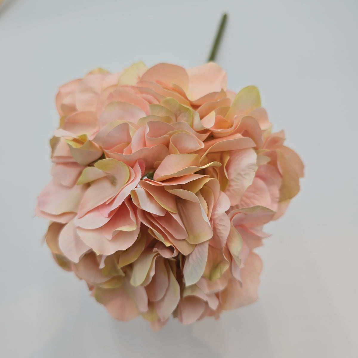 21&quot;HYDRANGEA--fsh394