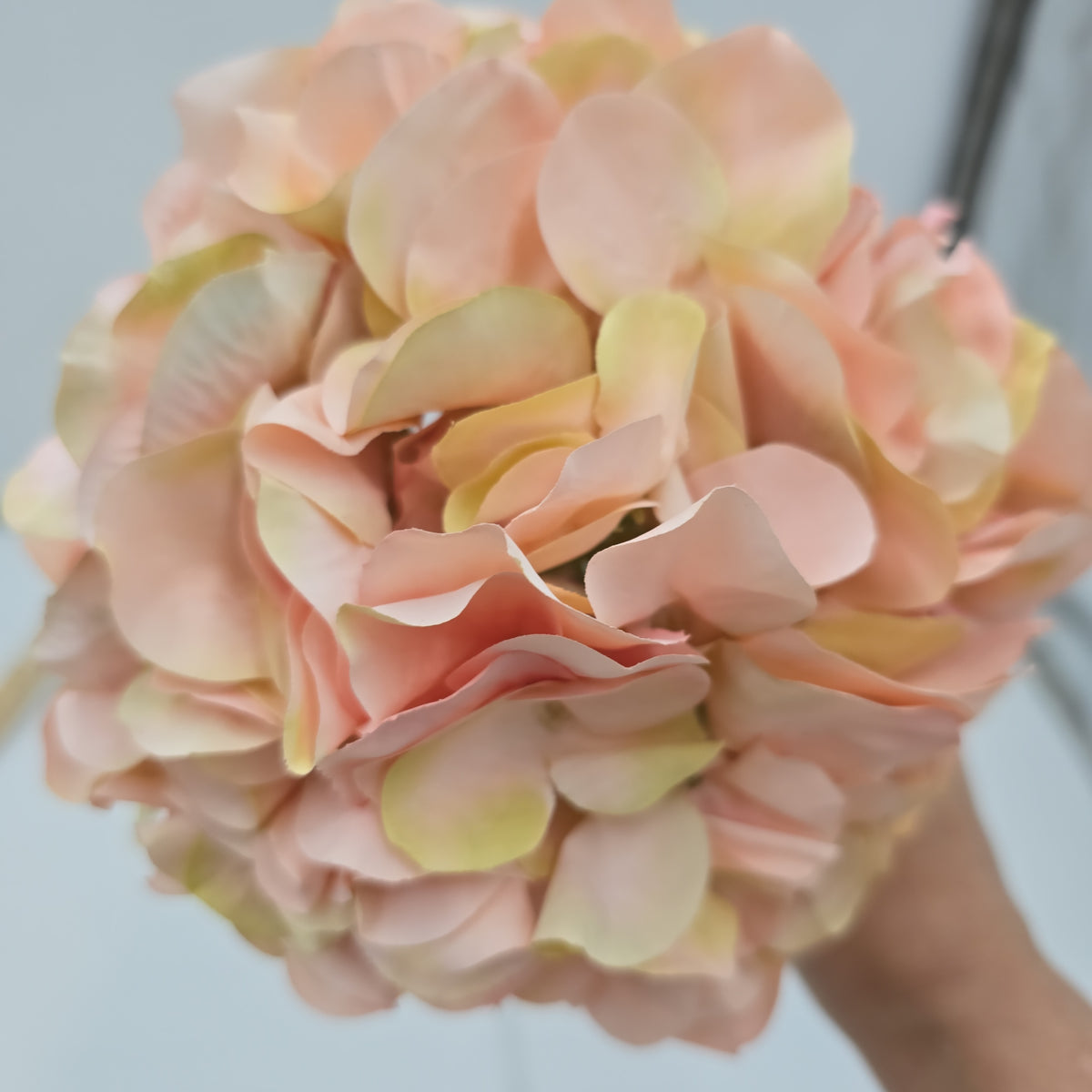 21&quot;HYDRANGEA--fsh394