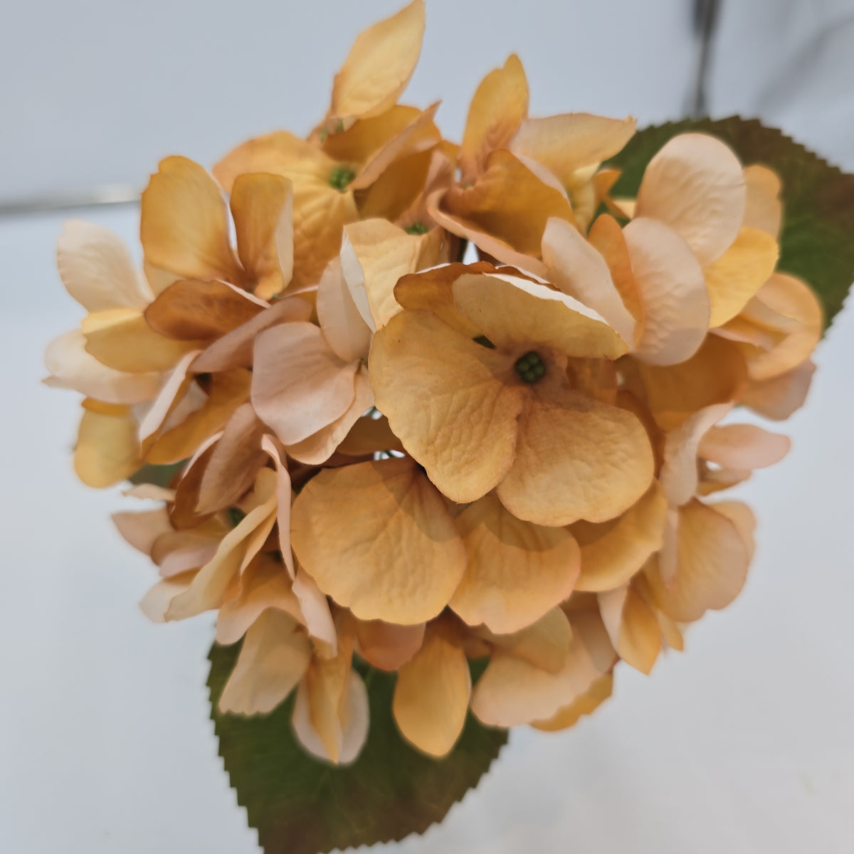 17.5&quot; Hydrangea Spray--#fsh426