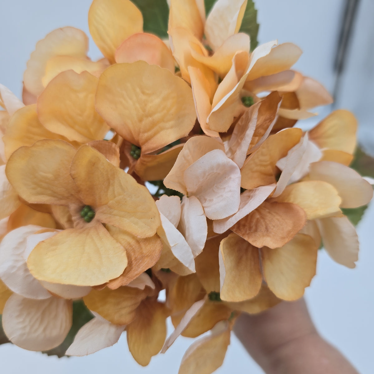 17.5&quot; Hydrangea Spray--#fsh426