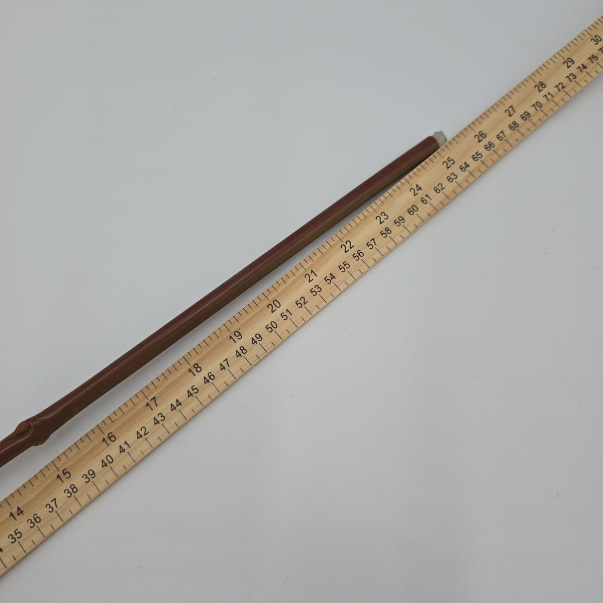 Hydrangea--#fsh573-pk/bo