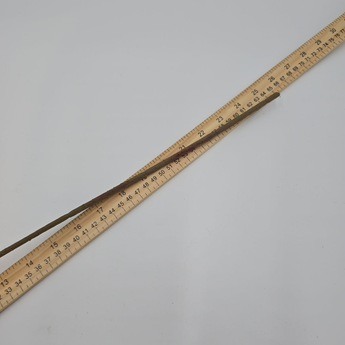 Small Hydrangea--#03058