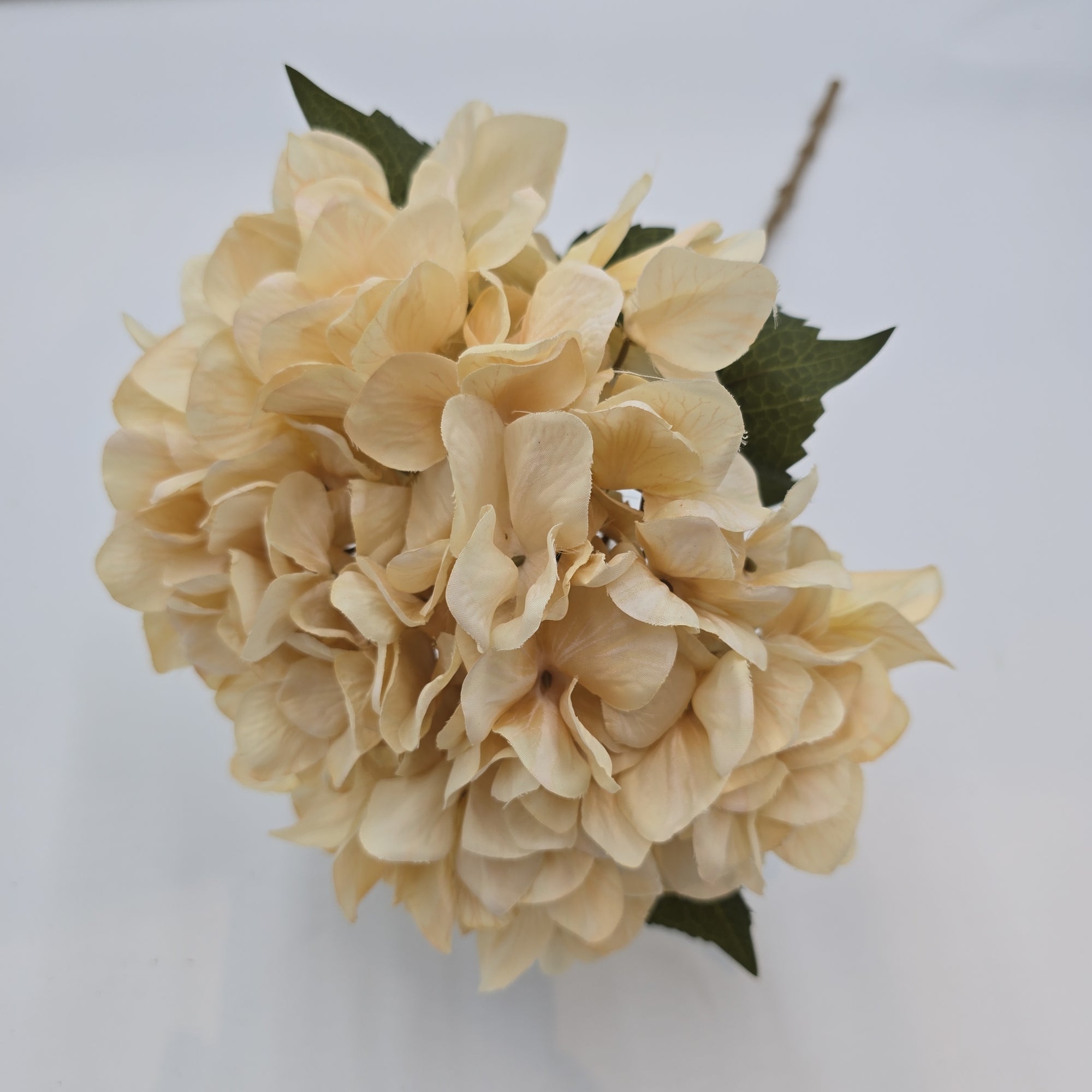 25" Hydrangea Spray--fsh021-be