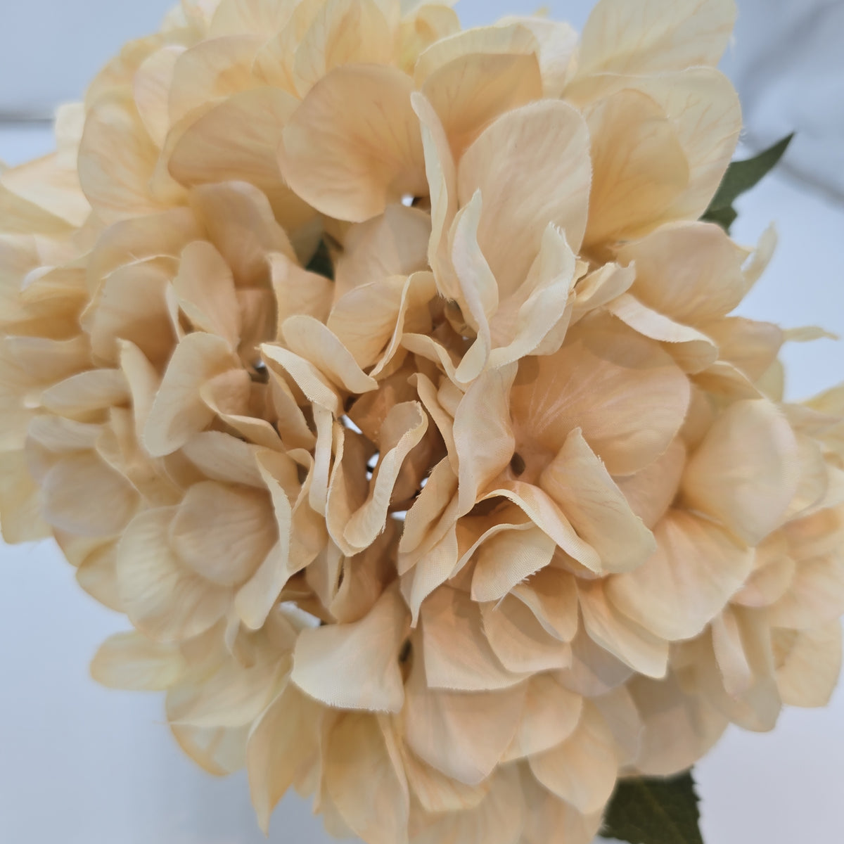 25&quot; Hydrangea Spray--fsh021-be