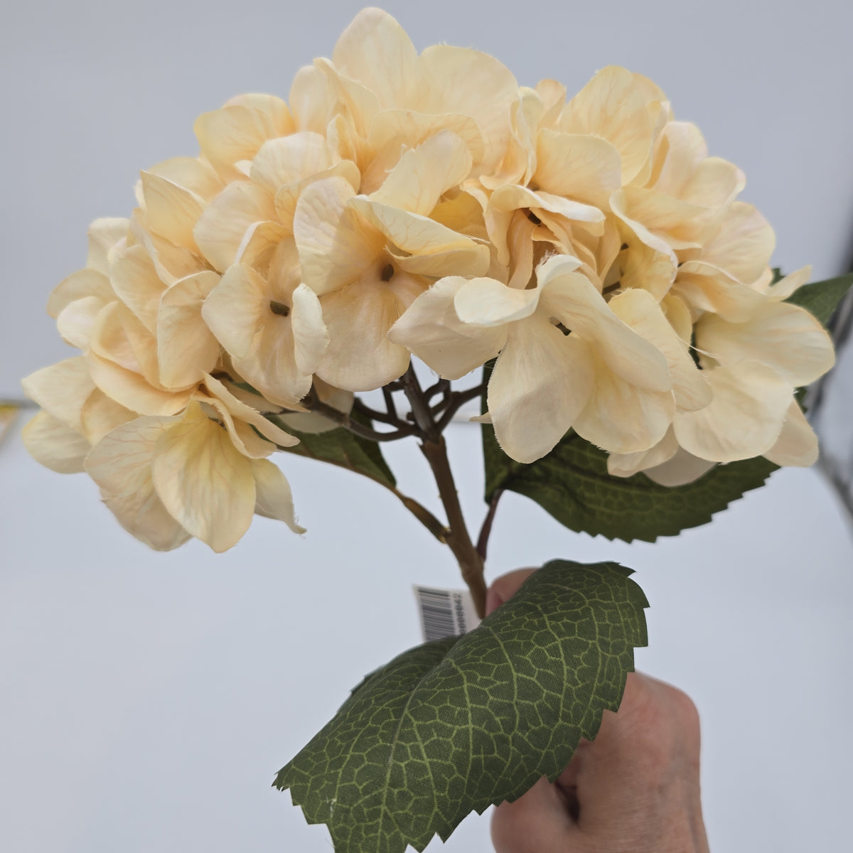 25&quot; Hydrangea Spray--fsh021-be