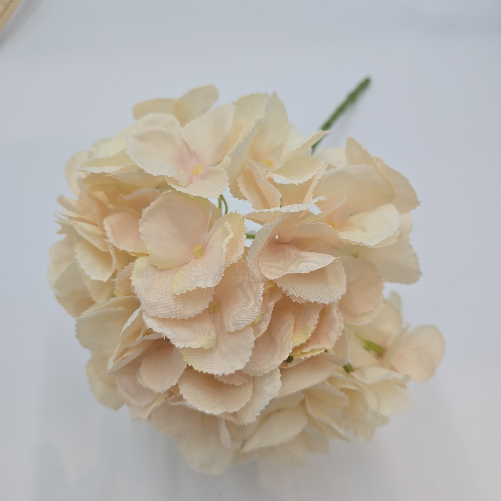 19"HYDRANGEA--fsh233-blush