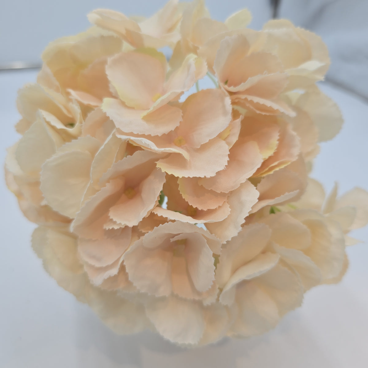 19&quot;HYDRANGEA--fsh233-blush