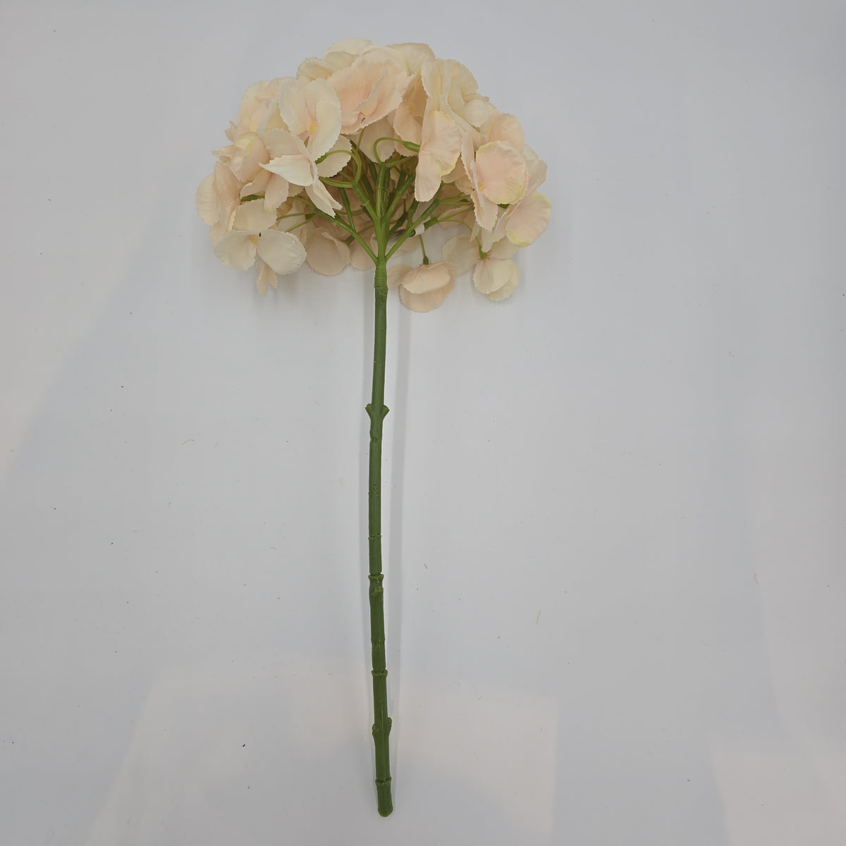 19&quot;HYDRANGEA--fsh233-blush