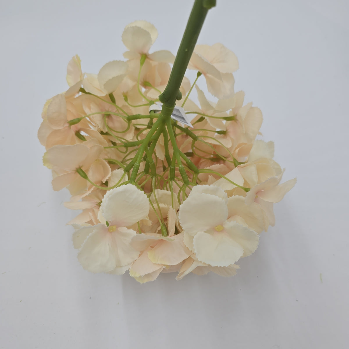 19&quot;HYDRANGEA--fsh233-blush
