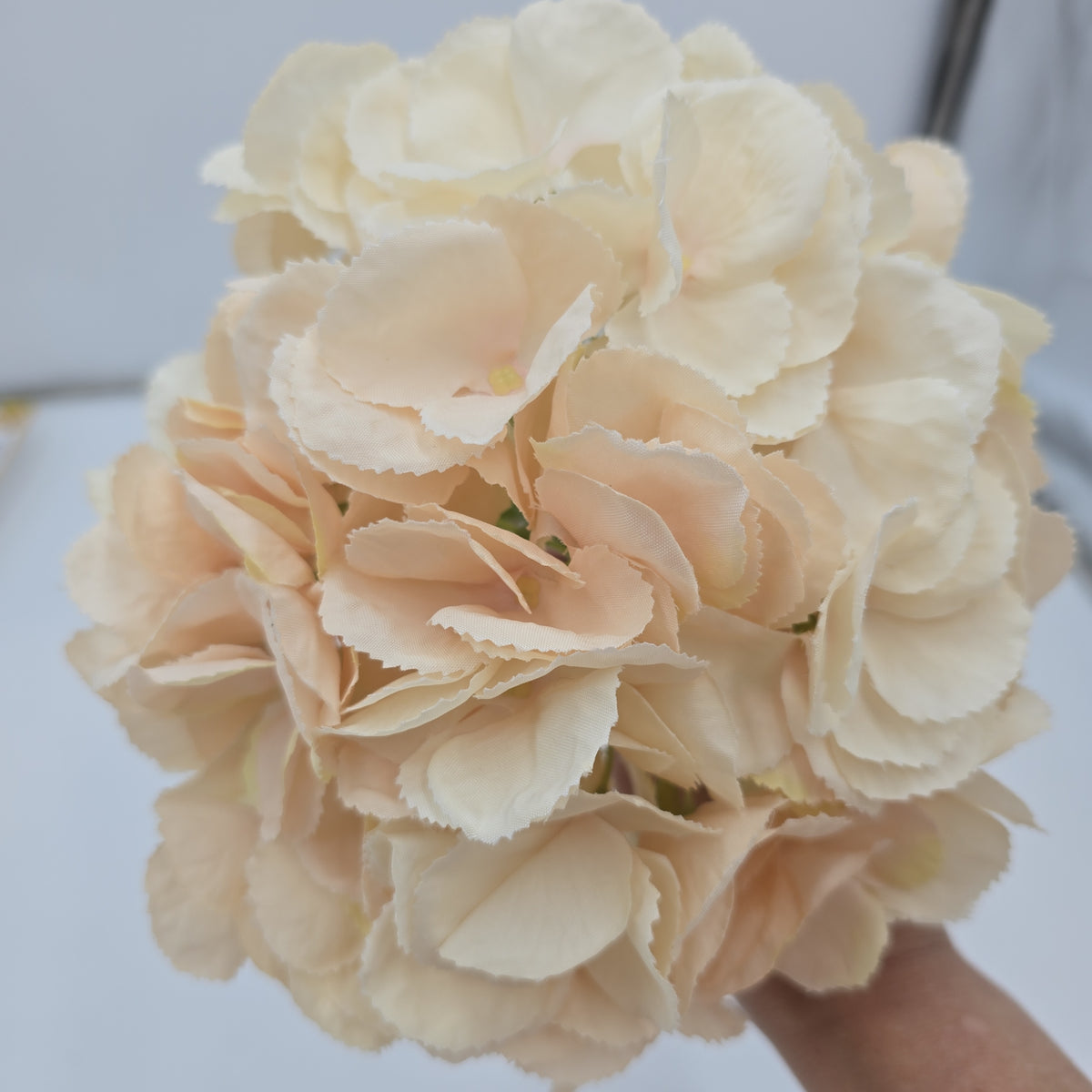 19&quot;HYDRANGEA--fsh233-blush