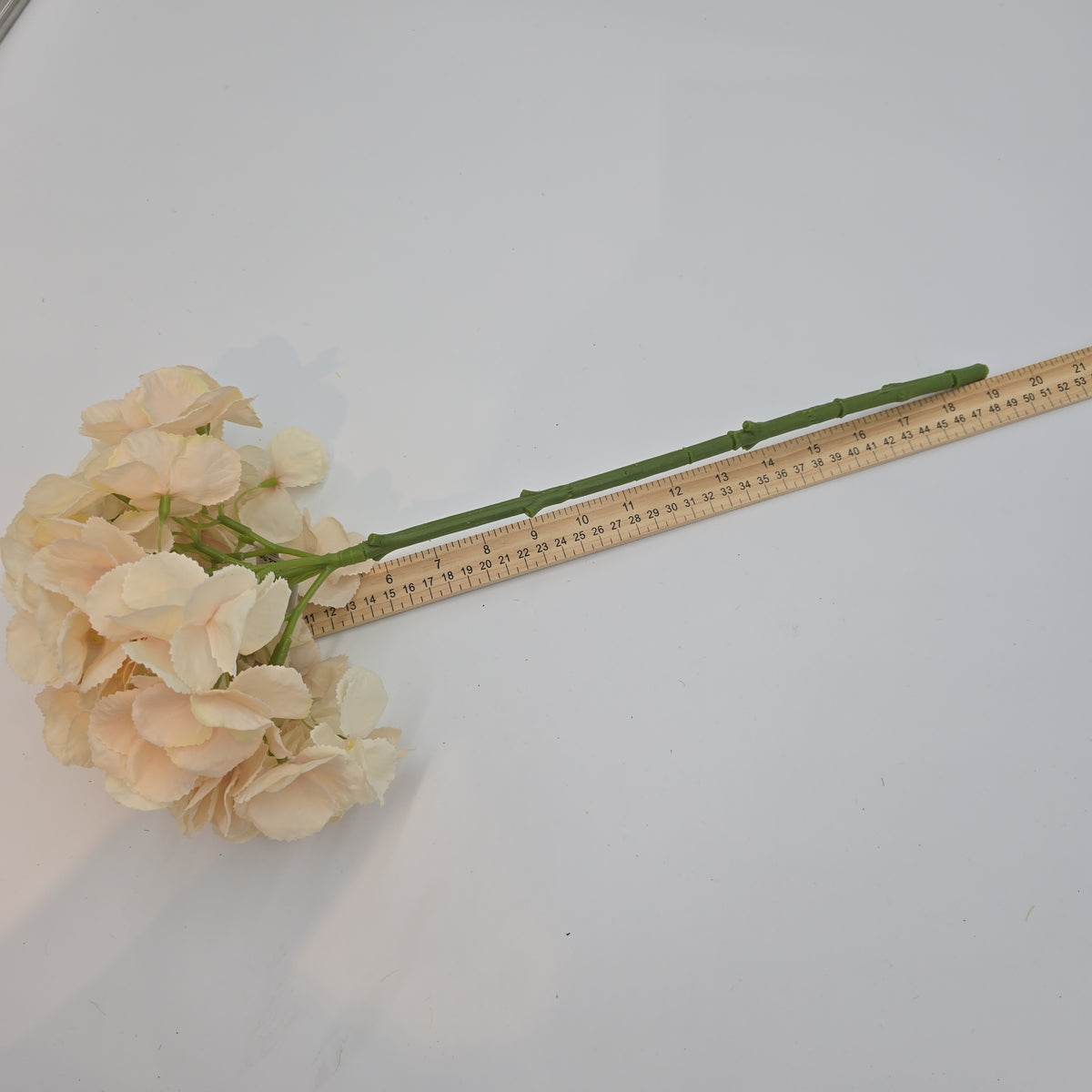 19&quot;HYDRANGEA--fsh233-blush