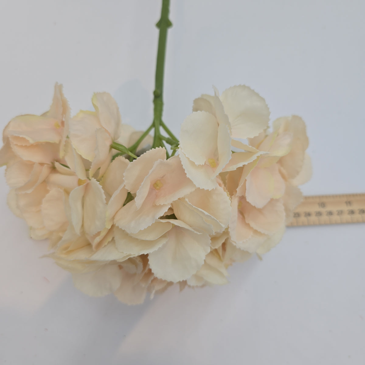 19&quot;HYDRANGEA--fsh233-blush