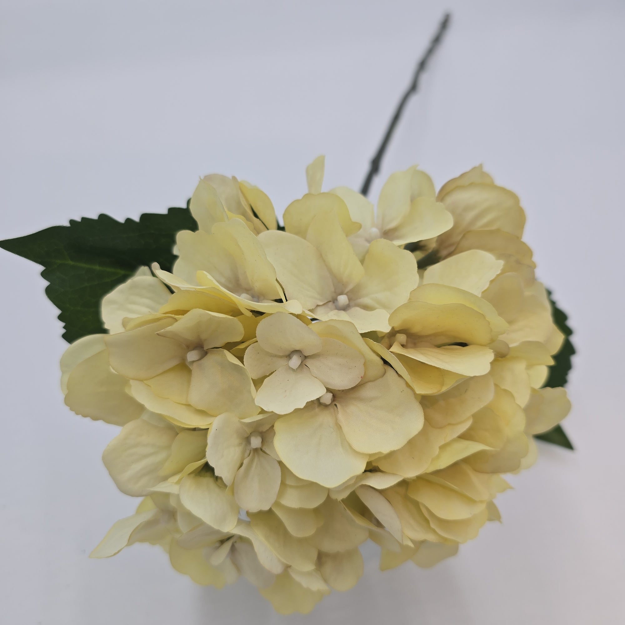 26" Hydrangea -- #fsh701