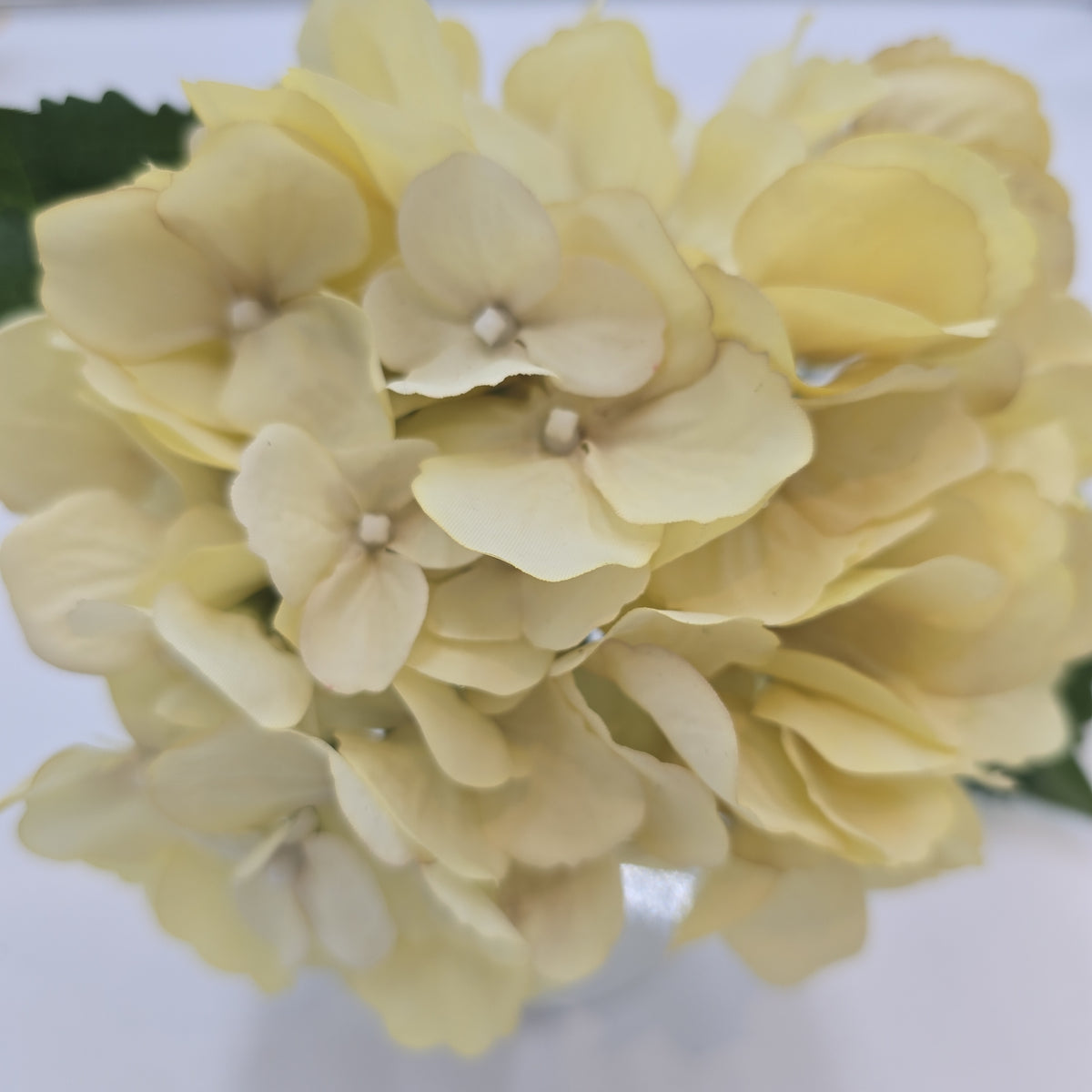 26&quot; Hydrangea -- #fsh701