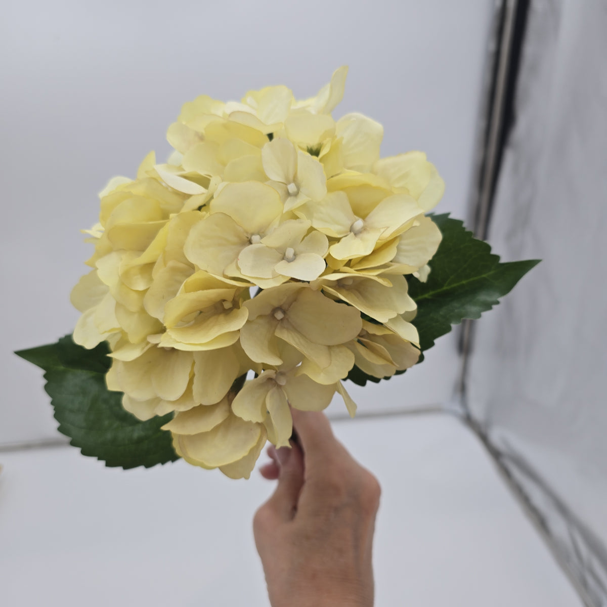 26&quot; Hydrangea -- #fsh701