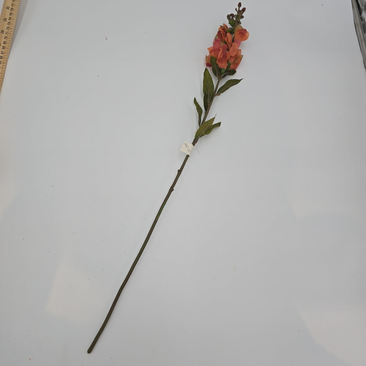 Snapdragon --#sss222