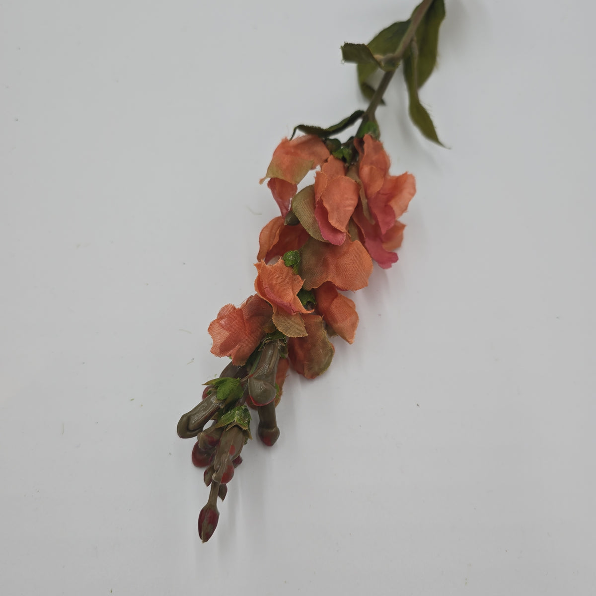 Snapdragon --#sss222