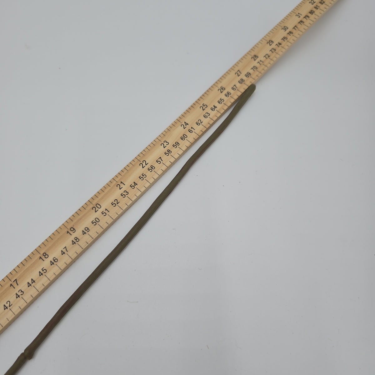 Snapdragon --#sss222