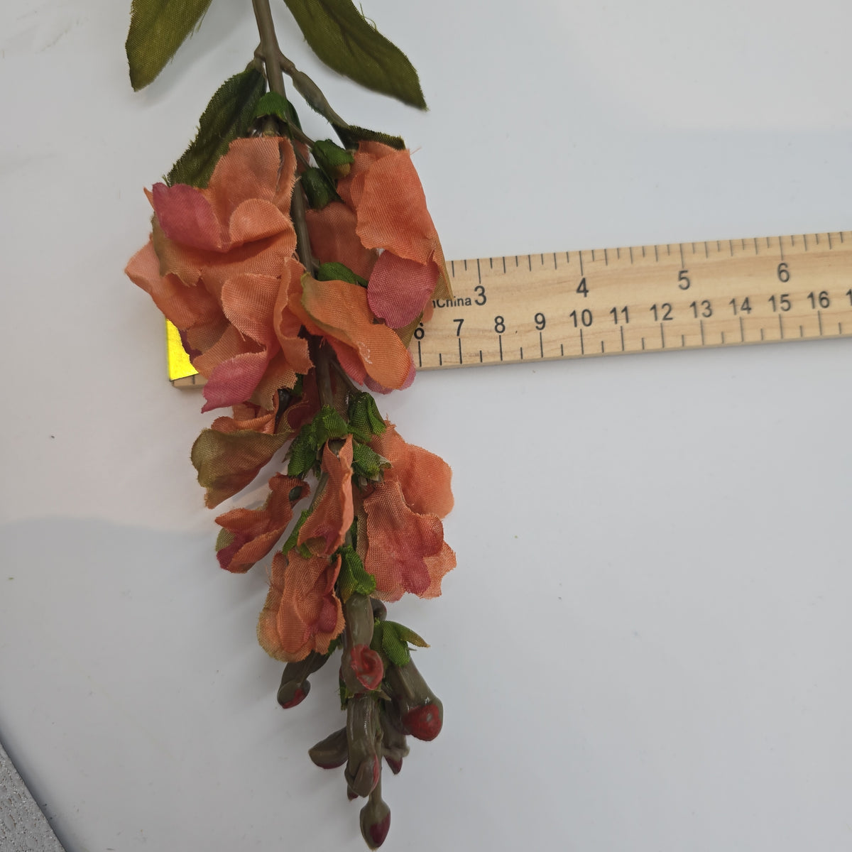 Snapdragon --#sss222