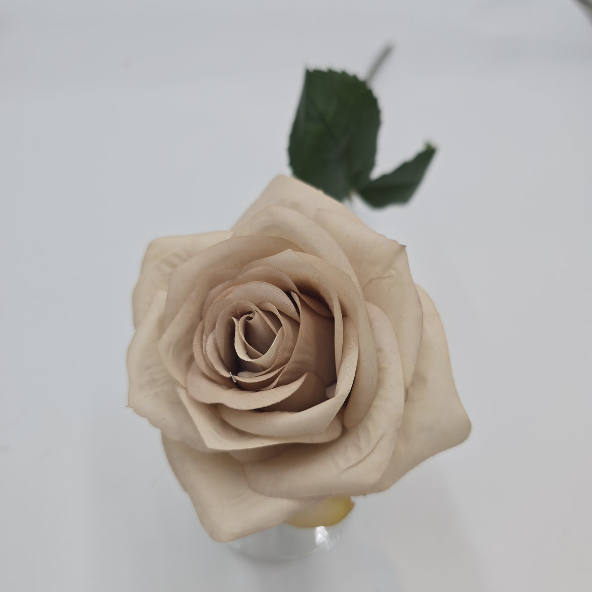 21.5&quot;ROSE--fsr729