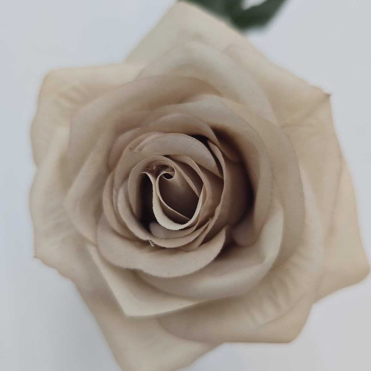 21.5&quot;ROSE--fsr729