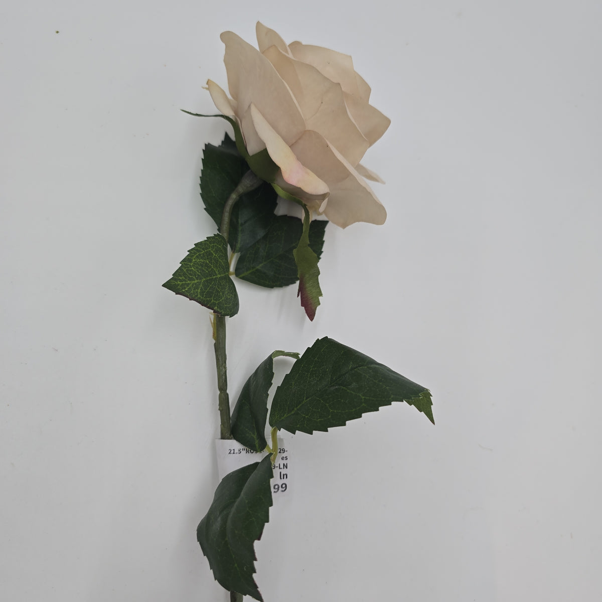 21.5&quot;ROSE--fsr729