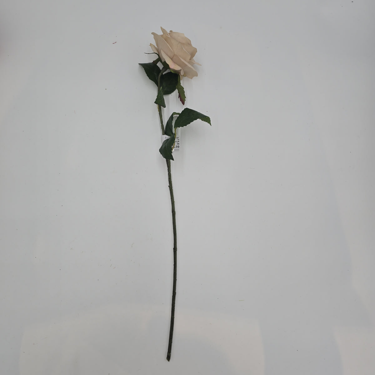 21.5&quot;ROSE--fsr729