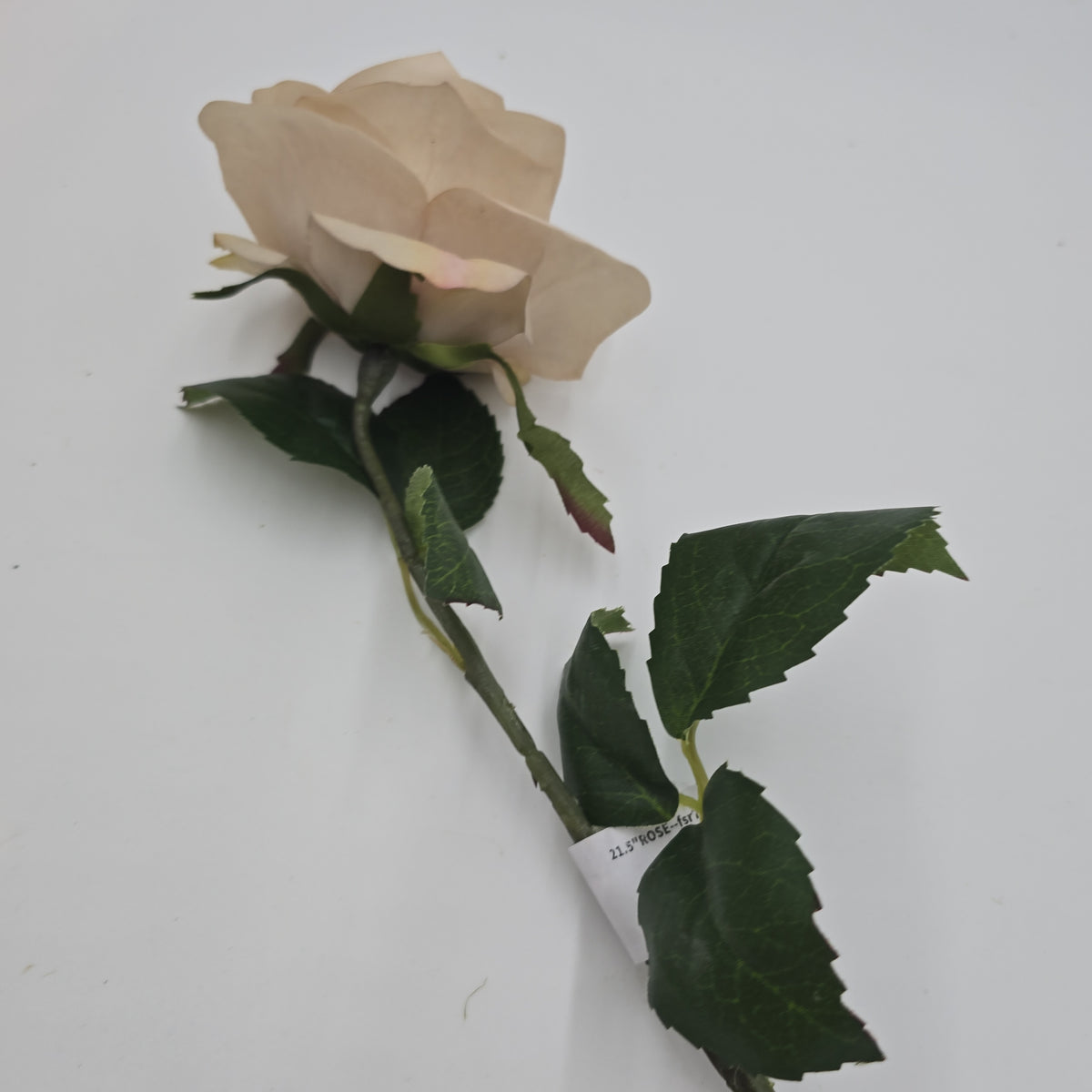 21.5&quot;ROSE--fsr729