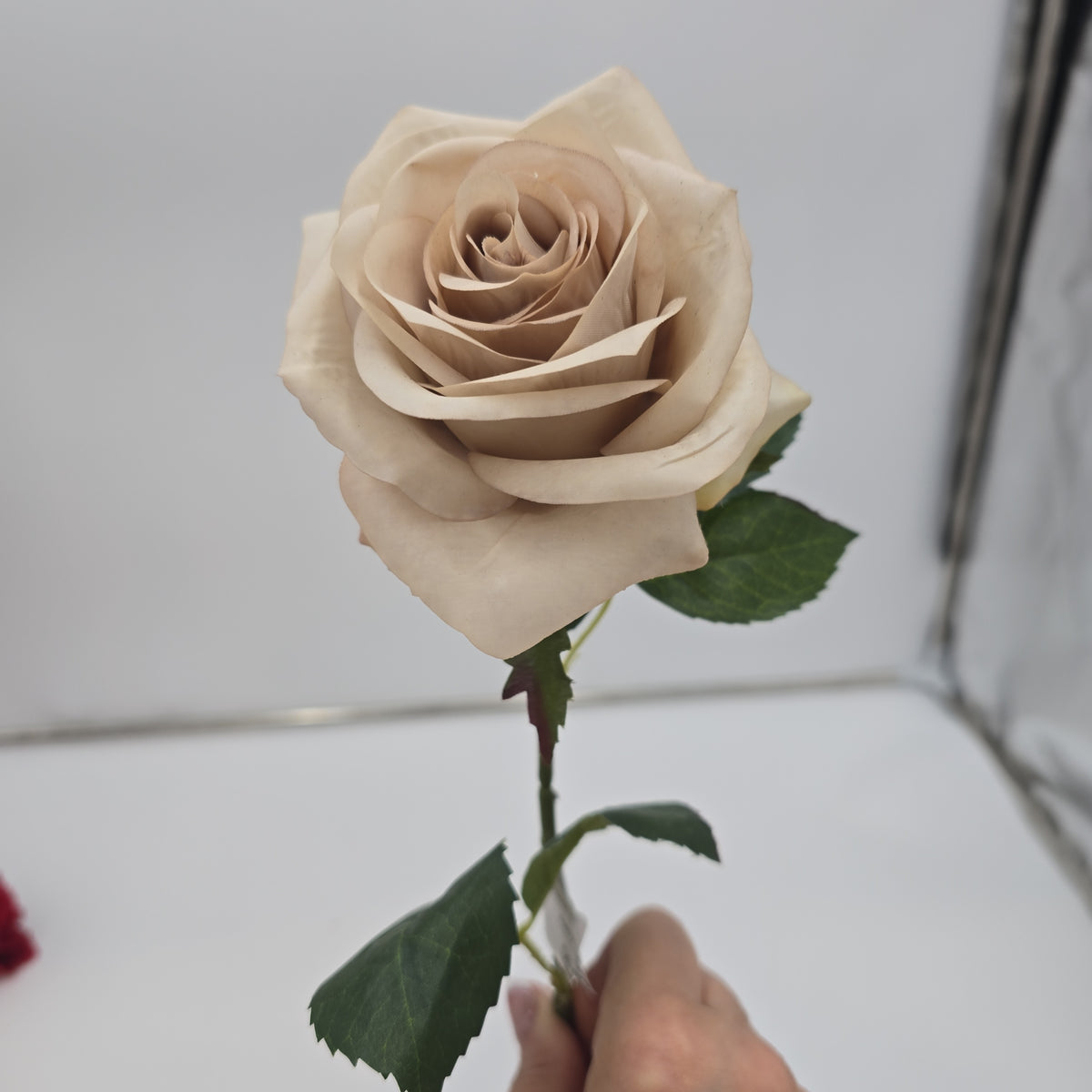 21.5&quot;ROSE--fsr729