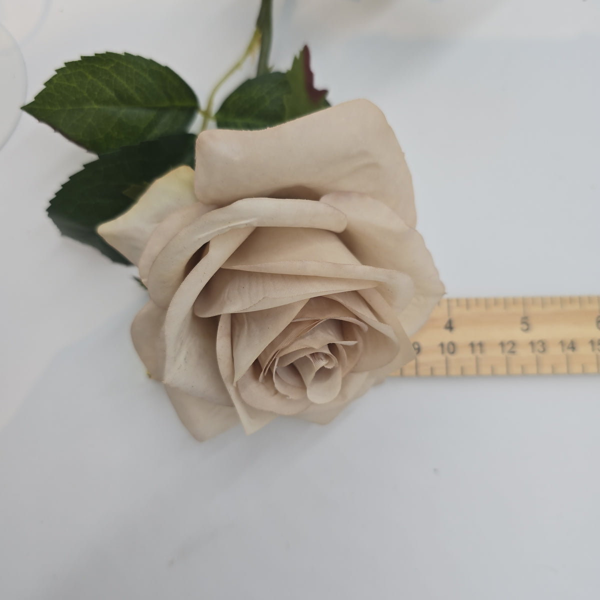 21.5&quot;ROSE--fsr729