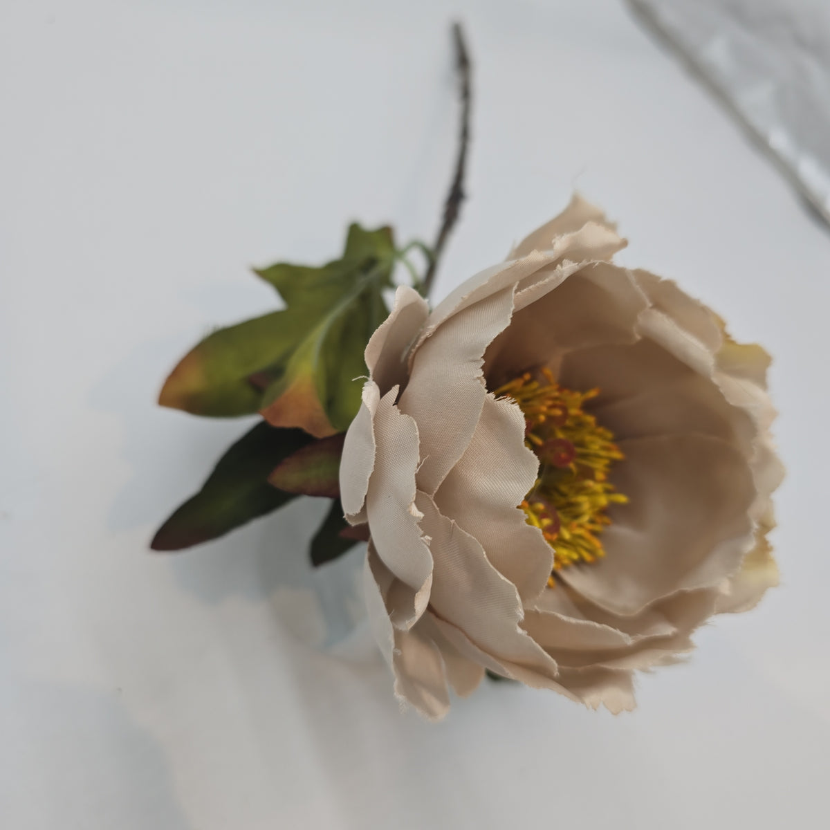 Small peony--#fsp779