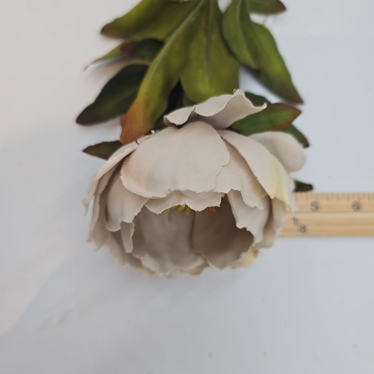 Small peony--#fsp779