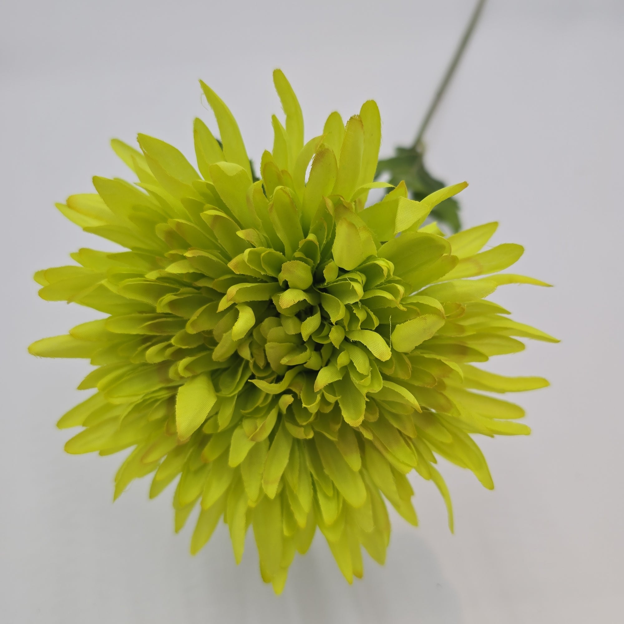 Mum Spray--#fsd533