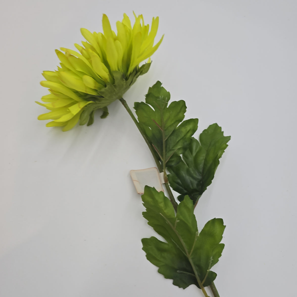 Mum Spray--#fsd533