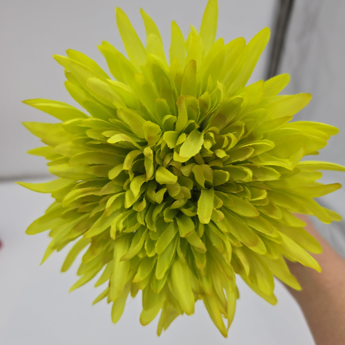 Mum Spray--#fsd533