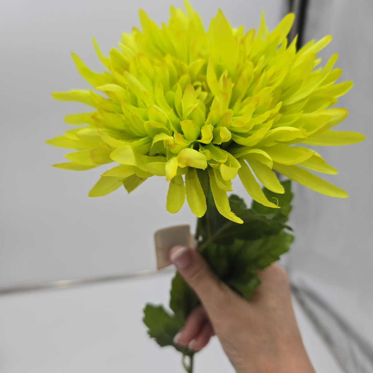 Mum Spray--#fsd533