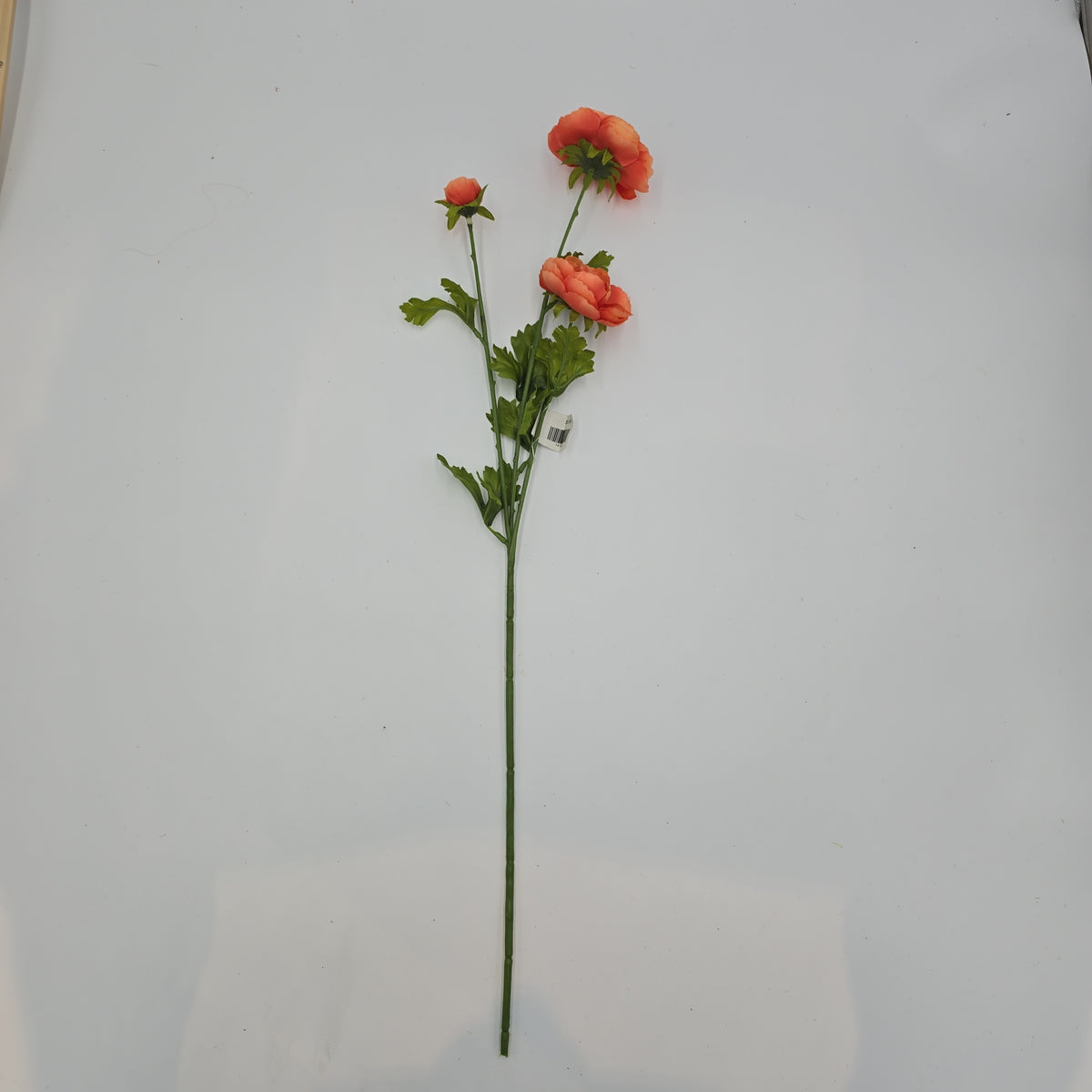 Ranunculus Spray--#fsr502