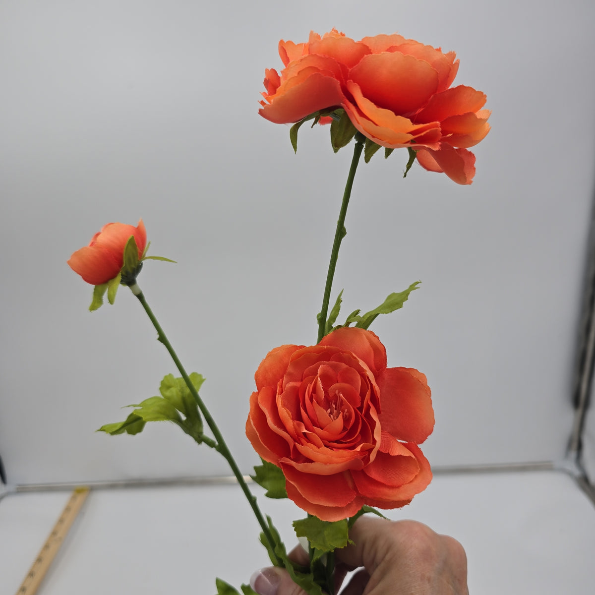 Ranunculus Spray--#fsr502