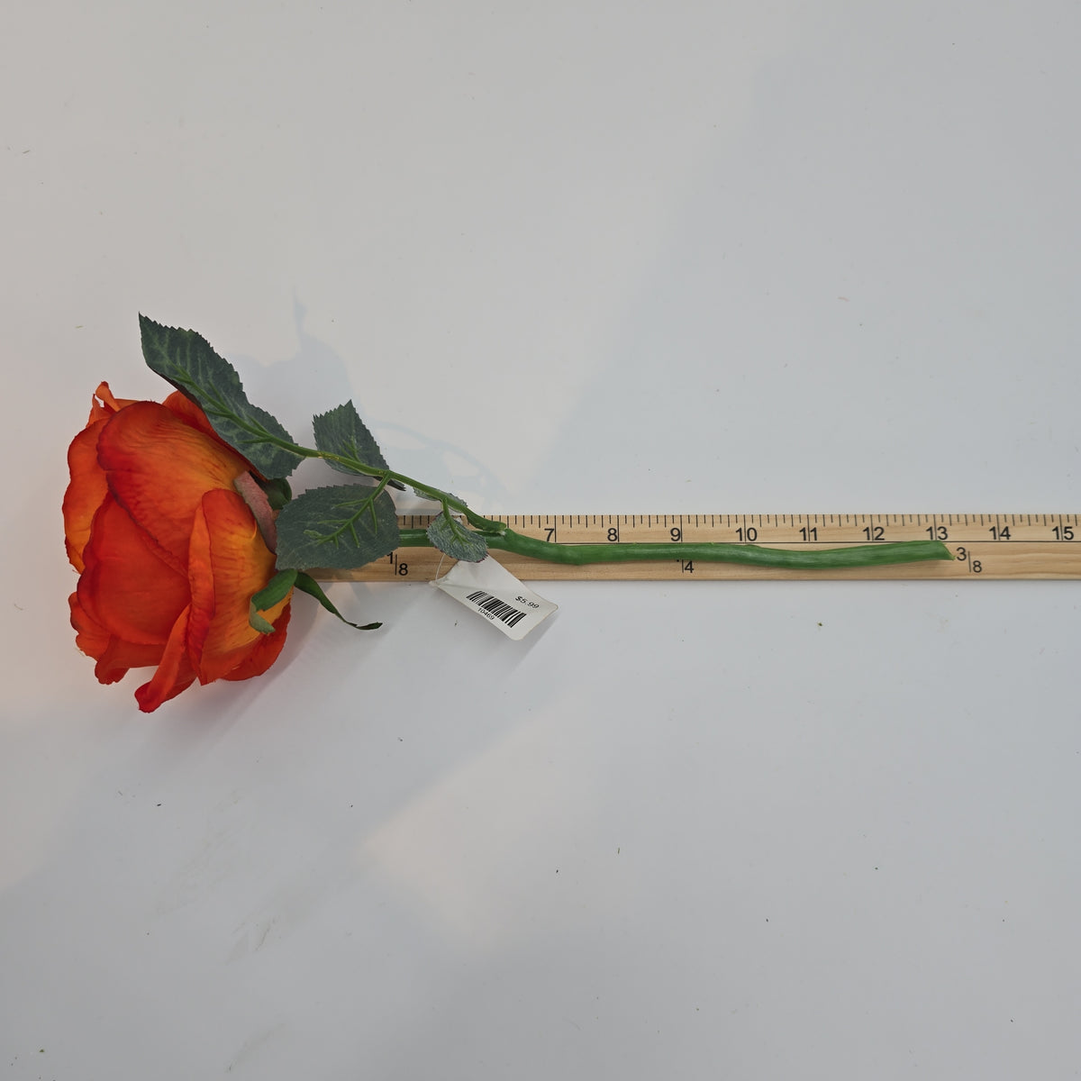 Garden Rose--#fsr018