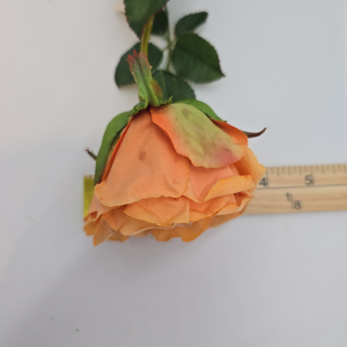 Rose Bud--#hsr515