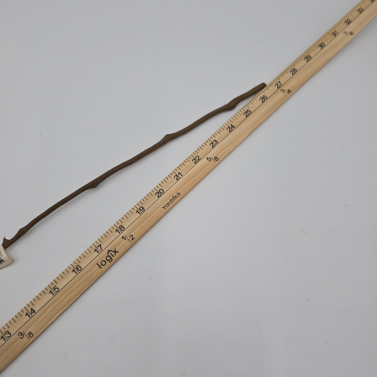 Velvet Rose--#gtr370