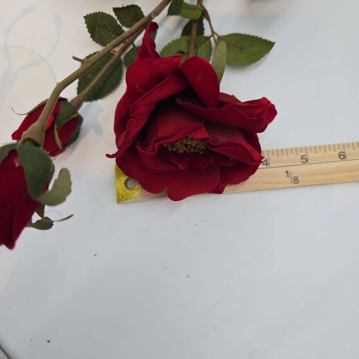 Velvet Rose--#gtr370